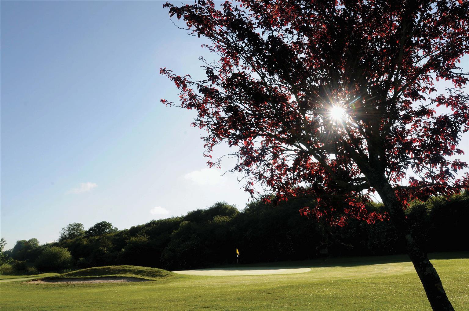 Best Western Plus Ullesthorpe Court Hotel & Golf Club Lutterworth Faciliteter billede